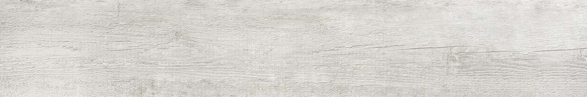 FOTO autumn white ant 20x120